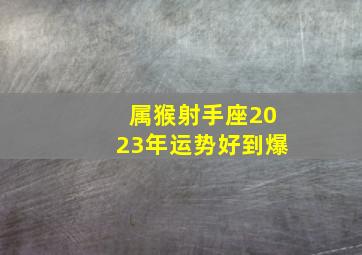 属猴射手座2023年运势好到爆,80猴人2023年全年的运程