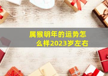 属猴明年的运势怎么样2023岁左右,属猴的人2023年运程大全凶多吉少要小心