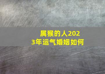 属猴的人2023年运气婚姻如何,2023年下半年属猴人姻缘婚恋运势