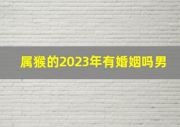 属猴的2023年有婚姻吗男,2023年兔年注定离婚的生肖男