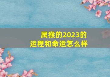 属猴的2023的运程和命运怎么样,属猴的2023的运程和命运怎么样呢