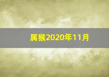 属猴2020年11月,属猴人2020年每月运势