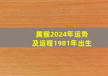 属猴2024年运势及运程1981年出生,属猴人今年运势2024年每月运势