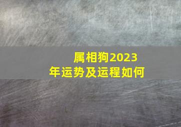 属相狗2023年运势及运程如何,属狗的2023年多少岁了属狗的2023年运势如何