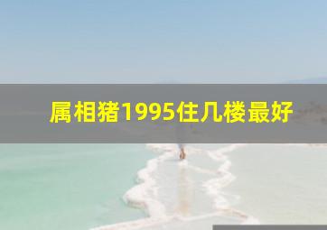 属相猪1995住几楼最好,生肖猪买房子几楼好