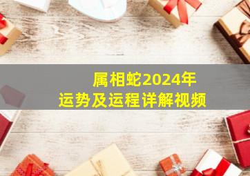 属相蛇2024年运势及运程详解视频,属相蛇2024年运势及运程详解视频讲解