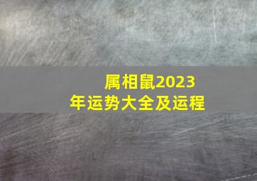 属相鼠2023年运势大全及运程,属鼠的2023年运势和财运怎么样