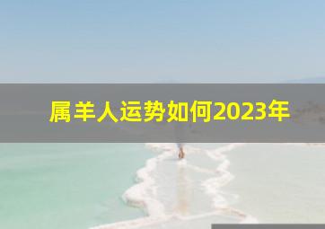 属羊人运势如何2023年,属羊人1979年2023年全年运势详解