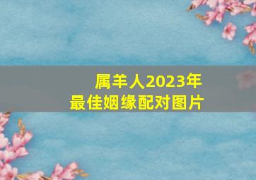 属羊人2023年最佳姻缘配对图片,1979年属羊2023年婚姻运79年属羊人在2023年的婚姻运势如何