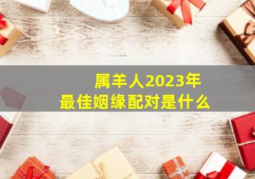 属羊人2023年最佳姻缘配对是什么,79年属羊男2023年运势婚姻在2023年可以结婚吗