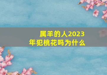 属羊的人2023年犯桃花吗为什么,属羊人2023年有什么劫数如何化解