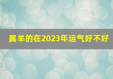 属羊的在2023年运气好不好