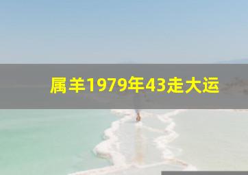 属羊1979年43走大运