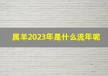 属羊2023年是什么流年呢,1979年属羊的2023年后的大运