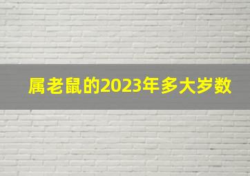 属老鼠的2023年多大岁数,2023年39岁属什么生肖