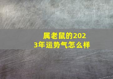 属老鼠的2023年运势气怎么样,属鼠的2023年运势和财运怎么样