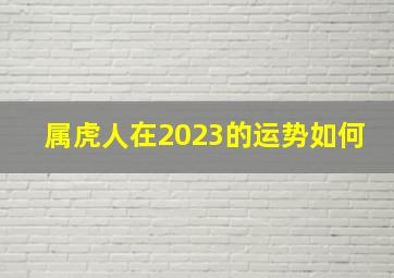 属虎人在2023的运势如何,属虎人遇兔年2023运势如何