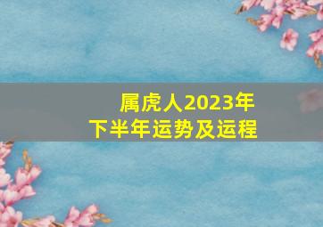 属虎人2023年下半年运势及运程,2023年属虎人的全年运势