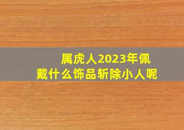 属虎人2023年佩戴什么饰品斩除小人呢,属虎2023年运程及运势详解2023年属虎人全年每月运势