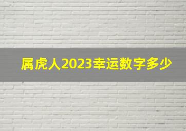 属虎人2023幸运数字多少,属虎人的2023年全年每月运势