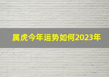 属虎今年运势如何2023年,1998年属虎2023年的运势好吗桃花运势如何