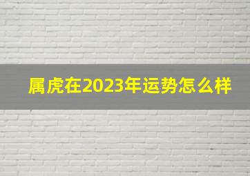 属虎在2023年运势怎么样,属虎五月份运势2023年运程