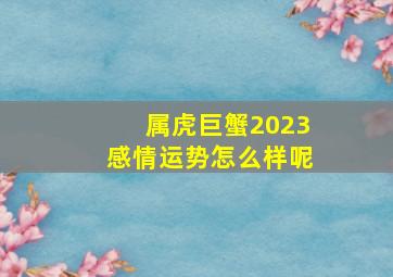 属虎巨蟹2023感情运势怎么样呢,<body>