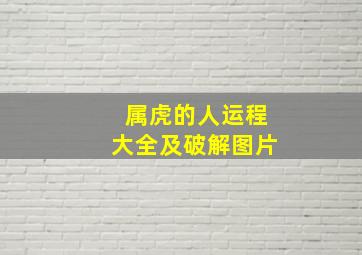 属虎的人运程大全及破解图片,属虎人的运势及运程