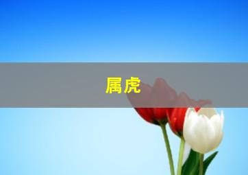 属虎,生肖虎五行属什么