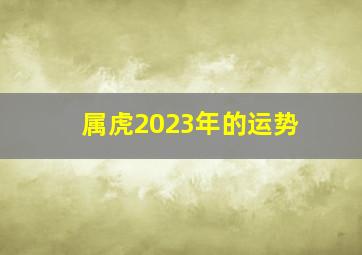 属虎2023年的运势