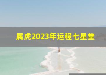 属虎2023年运程七星堂,2023年属虎的全年运势