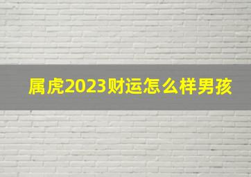 属虎2023财运怎么样男孩,属虎的2023年运势和财运怎么样