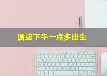 属蛇下午一点多出生,2013年属蛇的农历三月二十下午1点46分出生的女孩五行缺什么