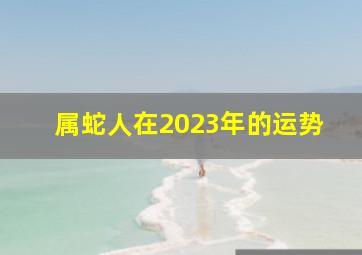 属蛇人在2023年的运势,属蛇人2023年全年运势及运程