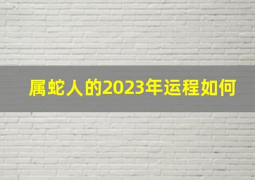 属蛇人的2023年运程如何,属蛇的2023年运势怎么样