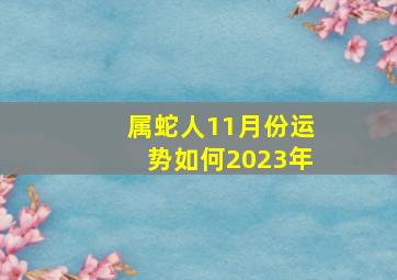 属蛇人11月份运势如何2023年,属蛇的人2023年的运势及运程