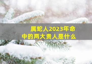 属蛇人2023年命中的两大贵人是什么,属蛇人2023年命中的两大贵人是什么属相