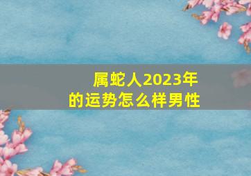 属蛇人2023年的运势怎么样男性,属蛇男2023年运势和财运怎么样