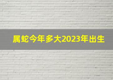 属蛇今年多大2023年出生,77年的2023年今年多大了