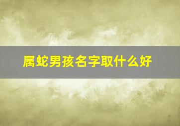 属蛇男孩名字取什么好,属蛇男孩名字最佳字