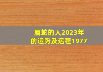 属蛇的人2023年的运势及运程1977,77年属蛇的2023年有一劫钱财难求