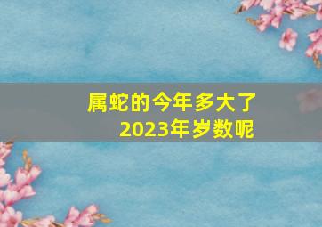 属蛇的今年多大了2023年岁数呢,77年的2023年今年多大了