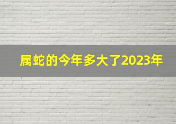 属蛇的今年多大了2023年,属属蛇的今年多大了