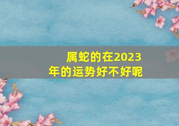 属蛇的在2023年的运势好不好呢,属蛇的人在2023年里的运势如何