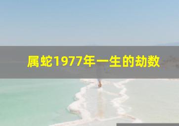 属蛇1977年一生的劫数,1977属蛇女的晚年