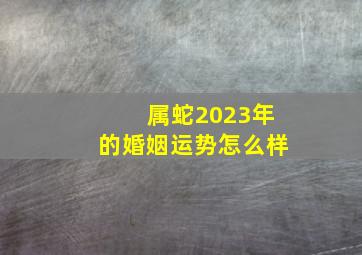 属蛇2023年的婚姻运势怎么样,2022到2023年属蛇运势