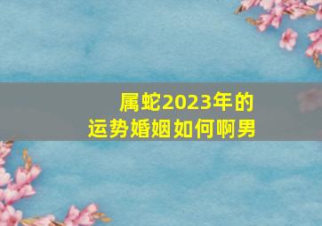 属蛇2023年的运势婚姻如何啊男,2023年属蛇人和属蛇的感情好吗婚姻如何