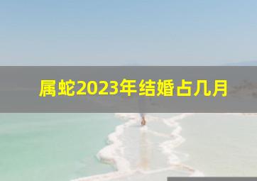 属蛇2023年结婚占几月,属蛇2023年结婚好吗