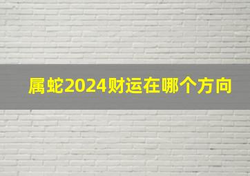 属蛇2024财运在哪个方向,属蛇人2024年运势及运程