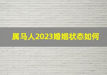 属马人2023婚姻状态如何,1966年出生属马人2023年感情婚姻波涛崎岖这些方面要防备